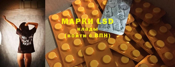 ГАЛЛЮЦИНОГЕННЫЕ ГРИБЫ Каменногорск