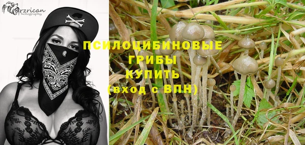 дурь Пролетарск
